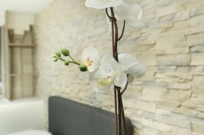 Studio Le Marais By Studio Prestige Paris Exterior foto
